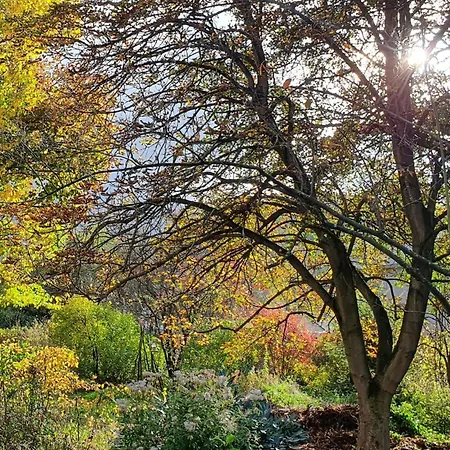 בית נופש Ferien Fachwerkhaus