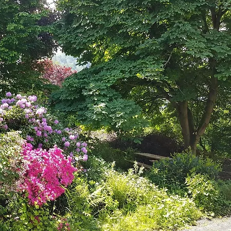 Ferien Fachwerkhaus