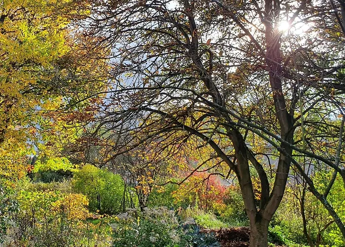 Tatil Evi Ferien Fachwerkhaus